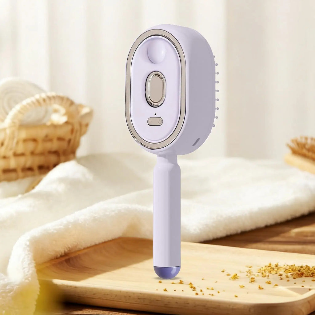 Brosse à vapeur rechargeable